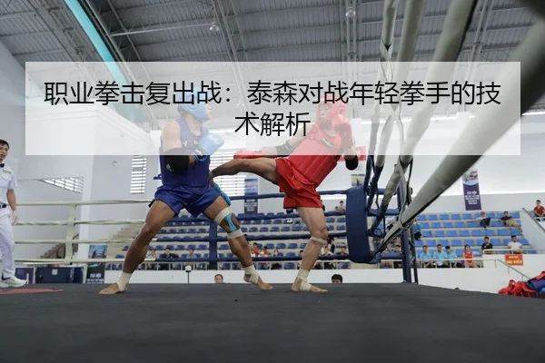 职业拳击复出战：泰森对战年轻拳手的技术解析